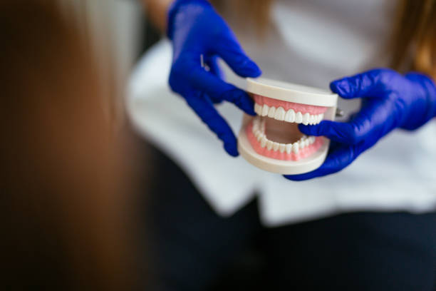 Best Cosmetic Dentistry  in Miami Springs, FL
